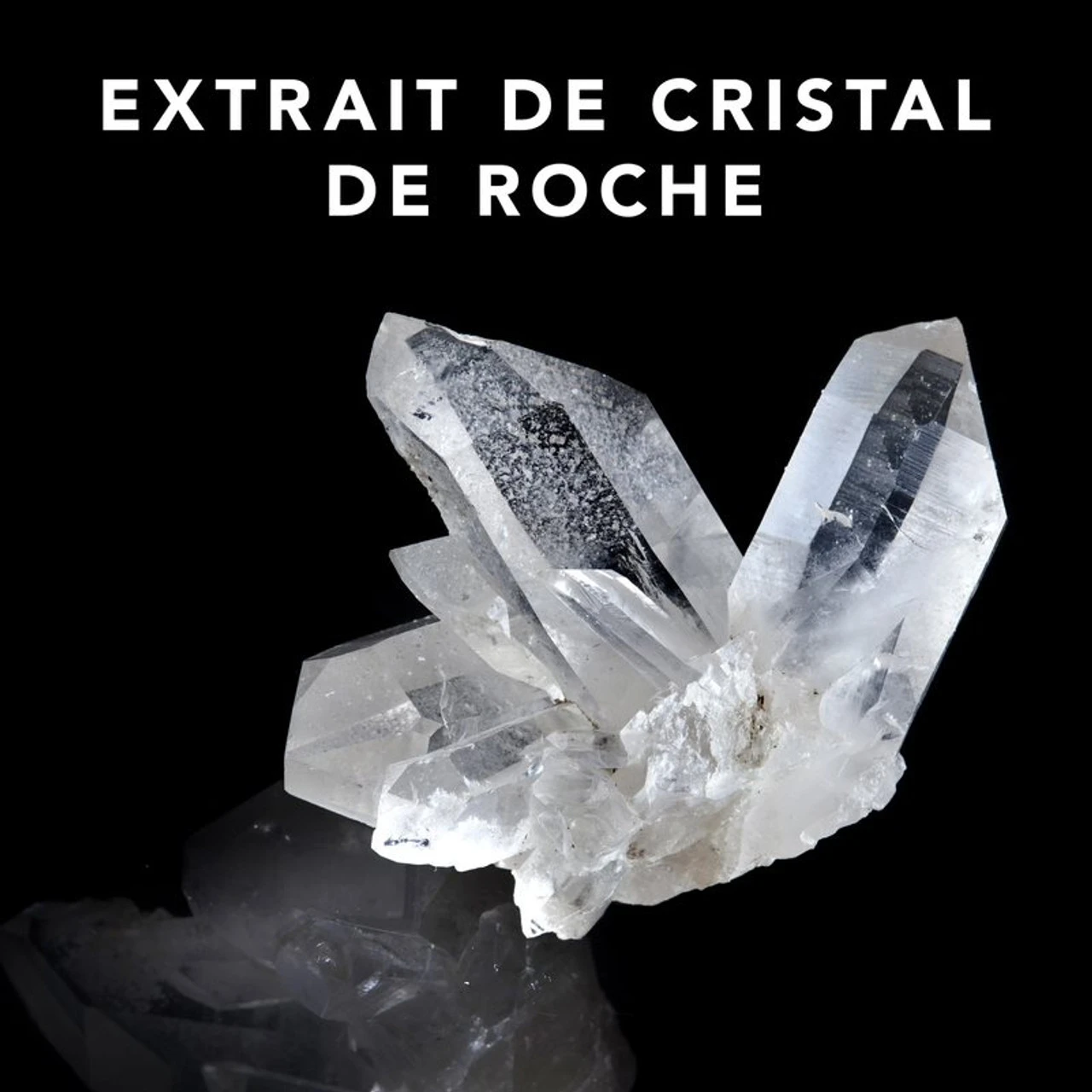 Trilliance Shampoo Sebastian 1000ml 4 Trilliance Shampoo Sebastian 1000ml – Image 2