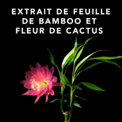 Volupt Spray Sebastian 150ml 9 Volupt Spray Sebastian 150ml -De Coiffure Rabais 52361 4 35228.1688735230