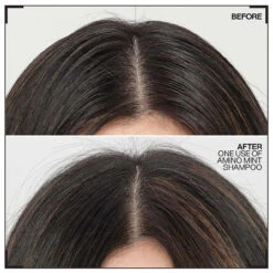 Shampoing Amino-Mint Redken 300ml -De Coiffure Rabais amino.1 56956.1694765720